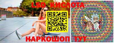 шишки Шелехов