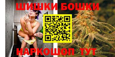 шишки Шелехов