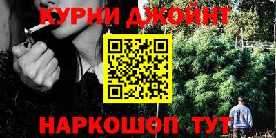 шишки Шелехов