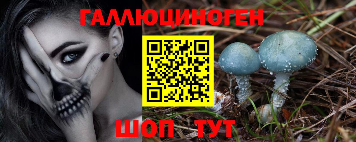 Псилоцибиновые грибы MAGIC MUSHROOMS  где продают   Алушта  Вход с VPN 