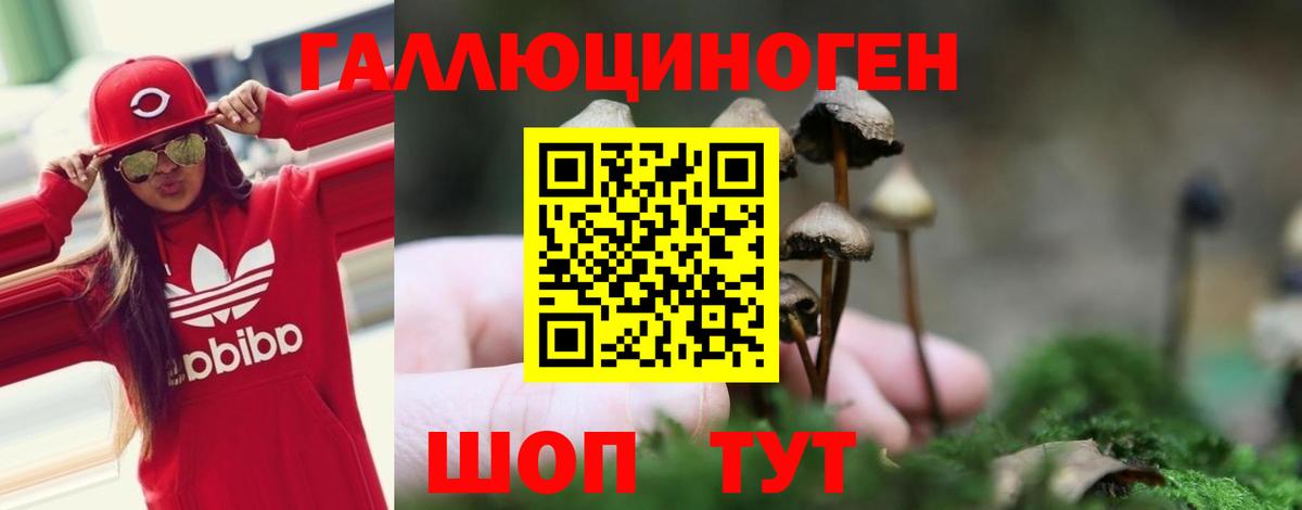 Псилоцибиновые грибы Magic Shrooms Алушта